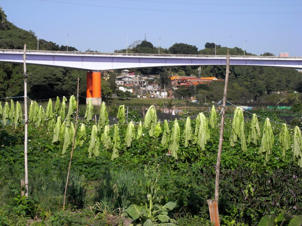 嘉美館特展《天天上演》隆重登場　國際藝術家共創城市客廳