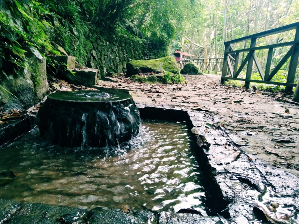 夏日清涼秘境　悠遊士林溪山步道與百年古圳