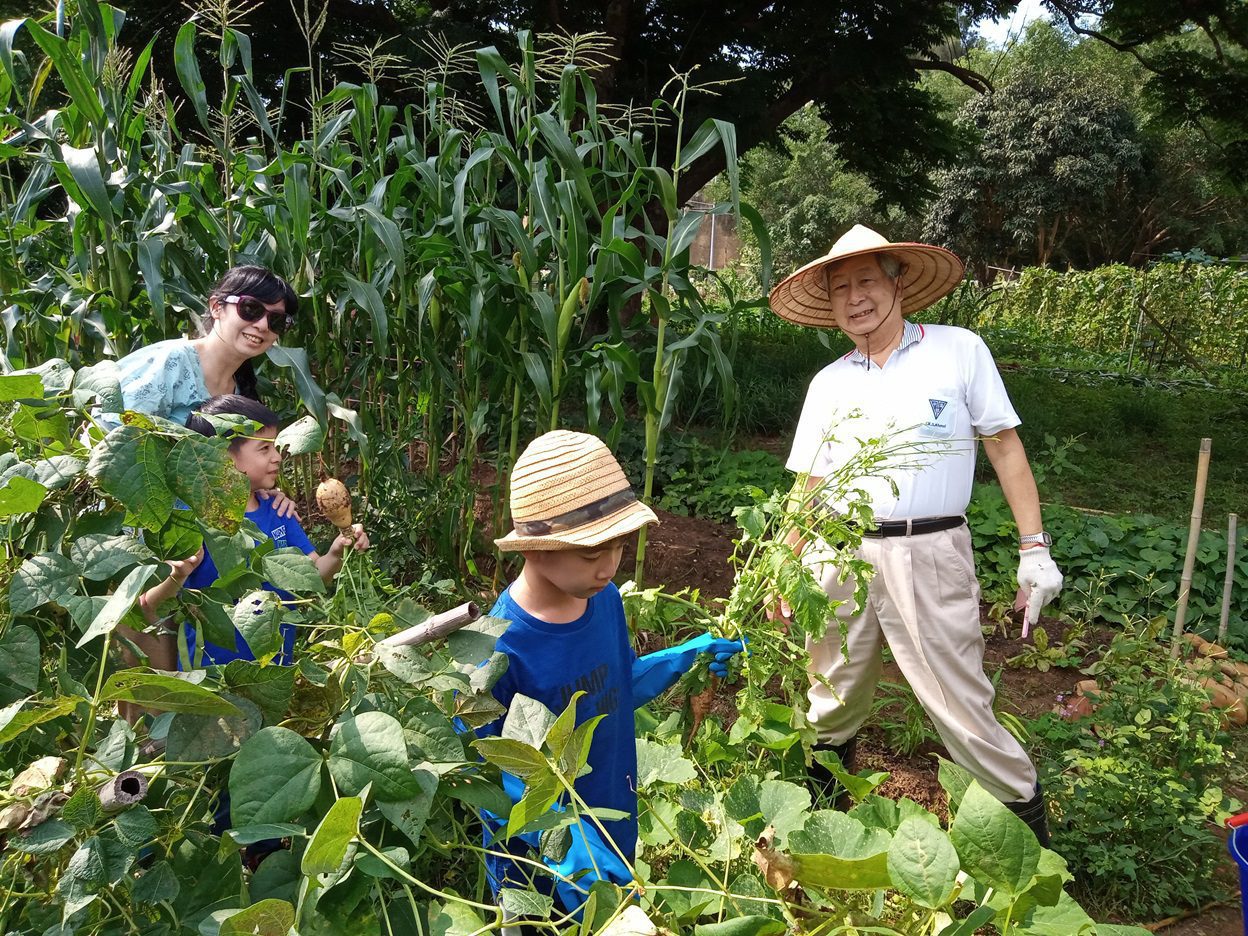 中市「環保農園」即日起開放報名　抽30名幸運兒免費耕種5個月