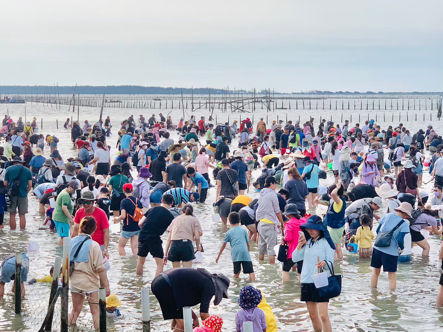 七股海鮮節7月6日登場　邀您一起挖文蛤品海鮮