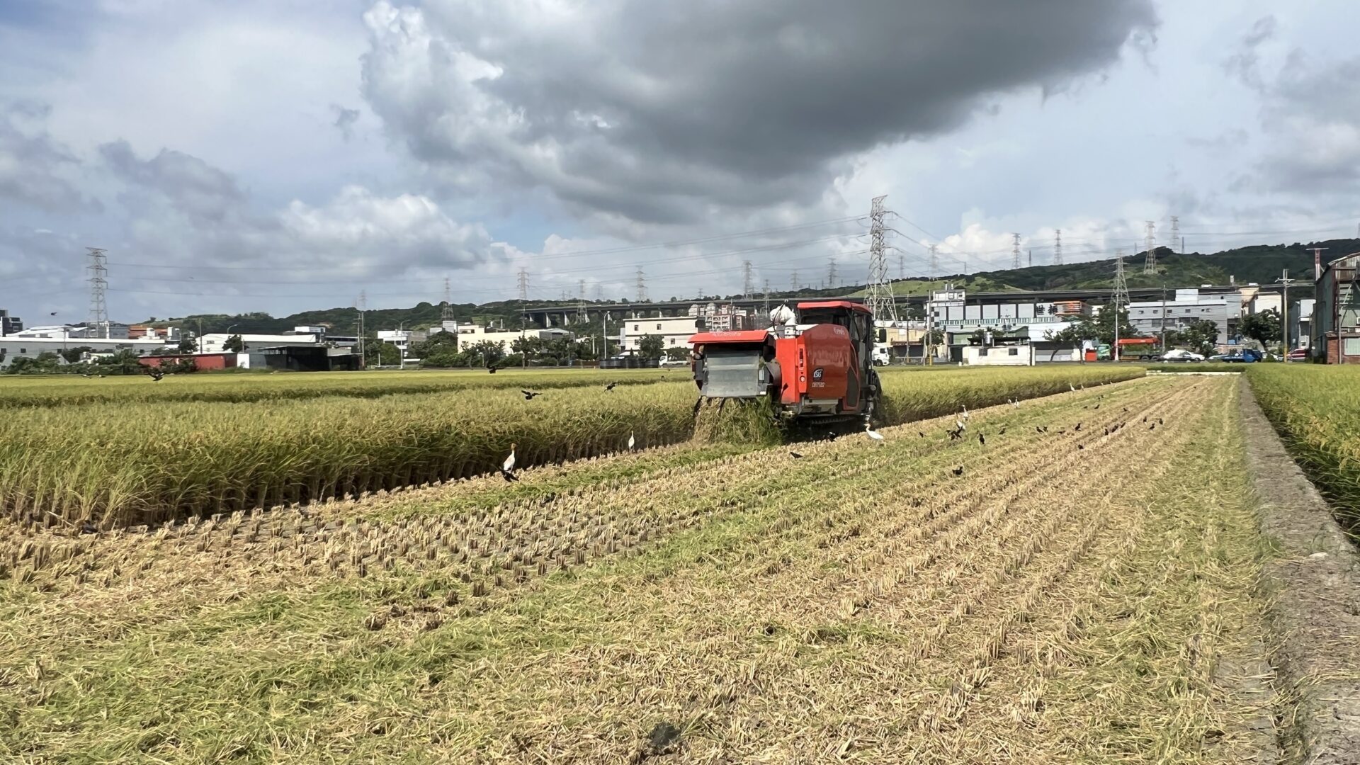 中市農業局推「稻草剪段防止焚燒稻草計畫」　一期作7/31前受理補助