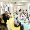 透過旋律閱讀！　中市動保處攜手「小吉他繪本屋」宣導動物生命教育