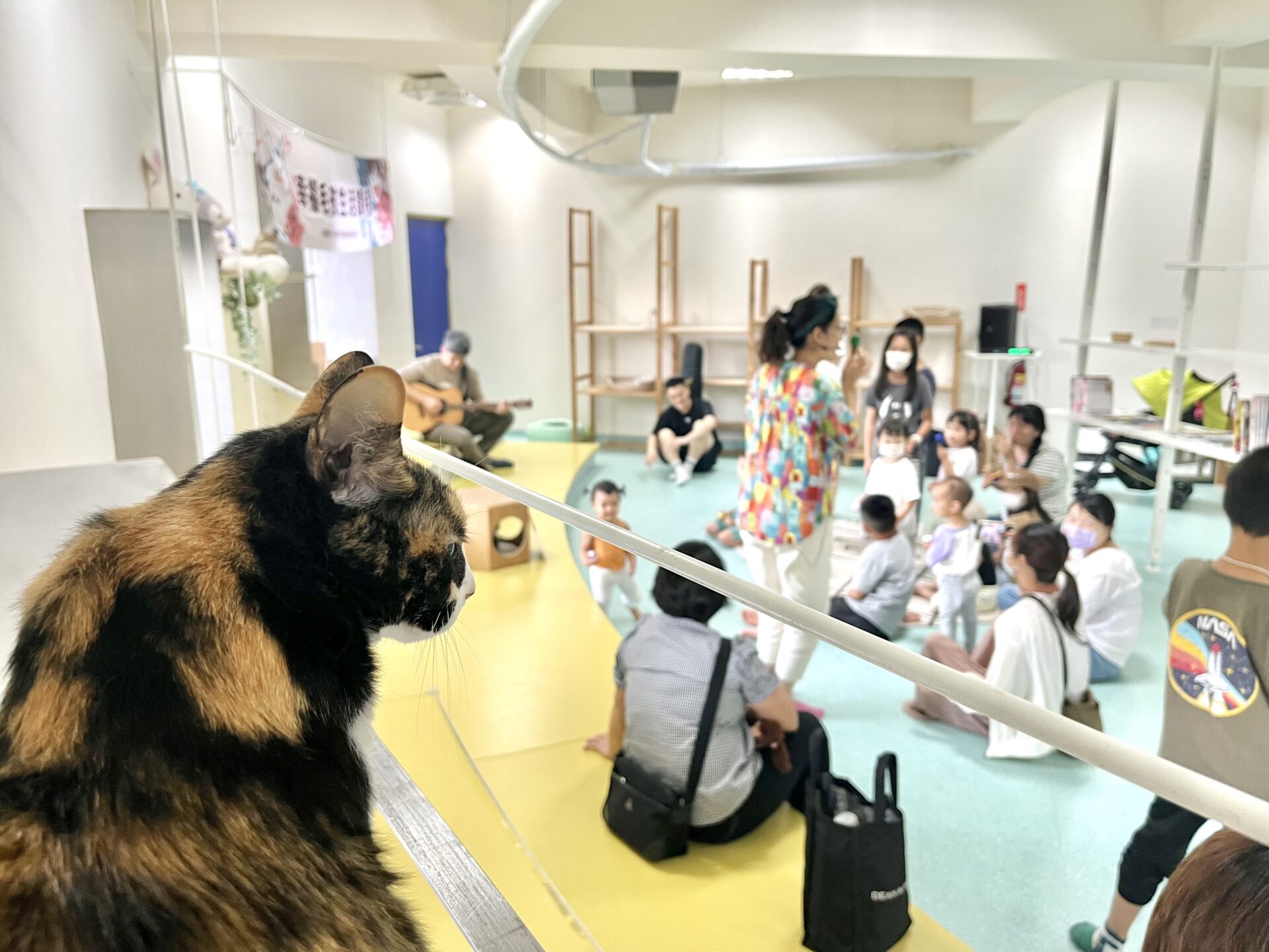 透過旋律閱讀！　中市動保處攜手「小吉他繪本屋」宣導動物生命教育