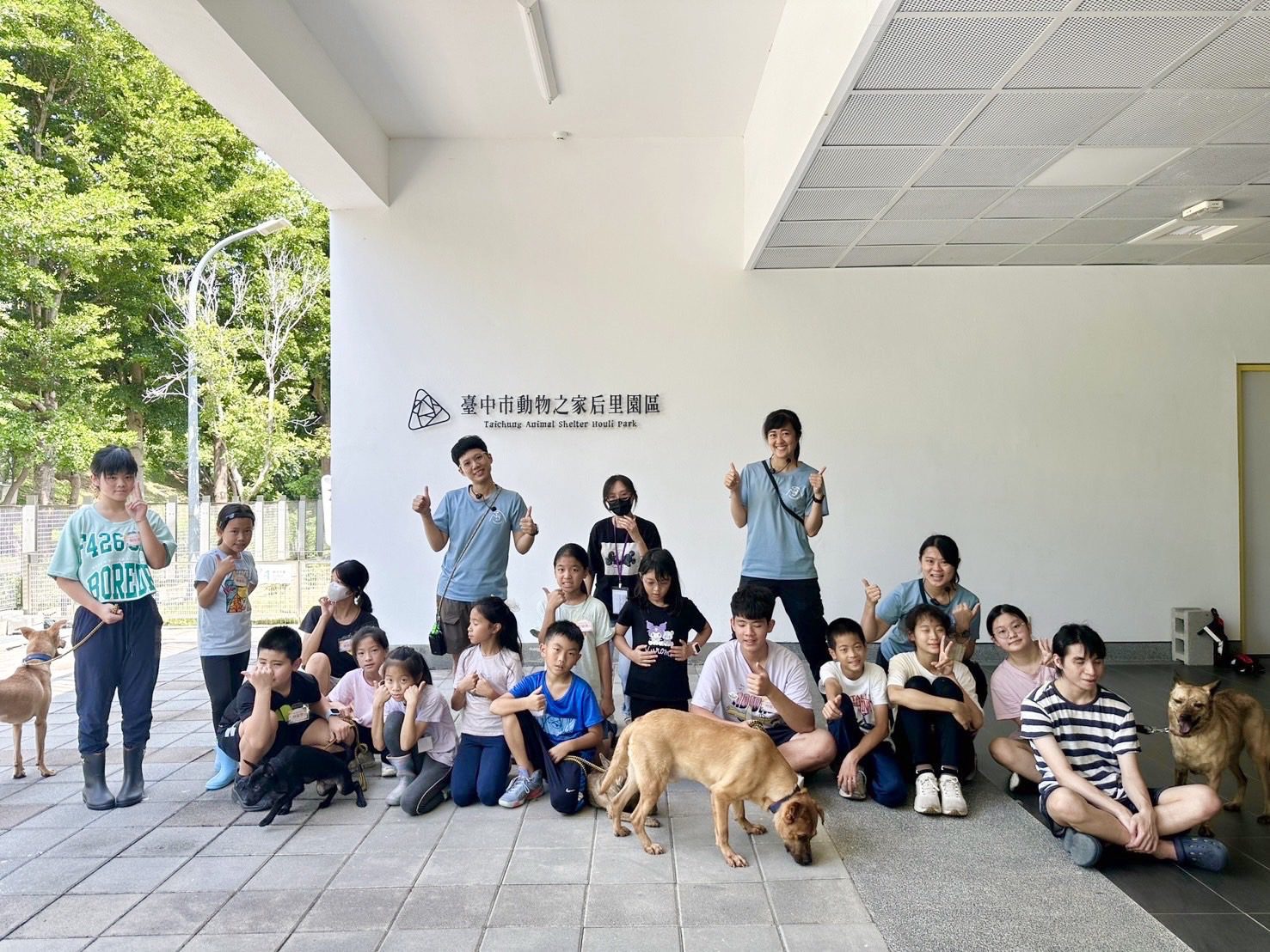 中市動物之家療癒犬夏令營　深化生命教育理念