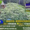 中市環保局實驗室提煉純天然防蚊噴瓶-　9/7資收活動免費兌換