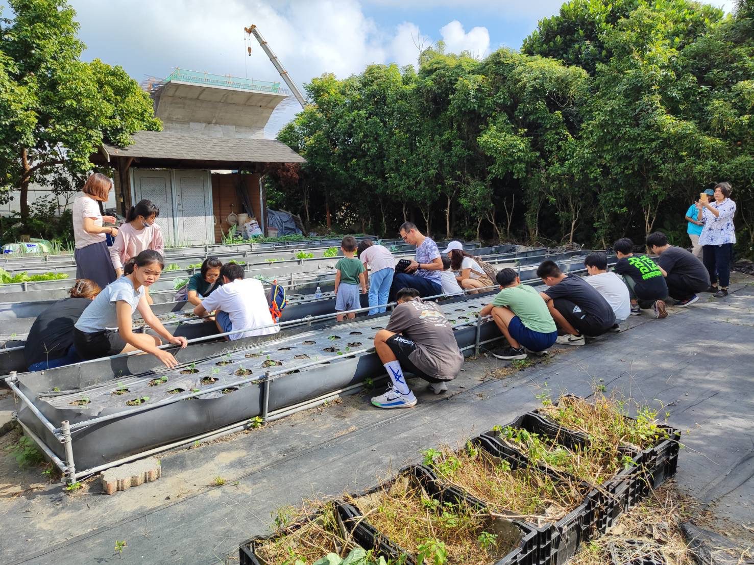 中市梅子社區戶外田園解說體驗活動　帶領民眾悠遊田園之美