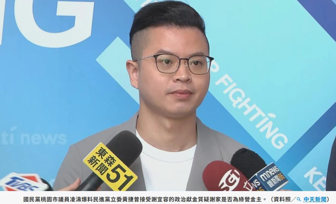 爆料謝宜容曾捐款給賴清德　凌濤：謝家是否為綠營金主？