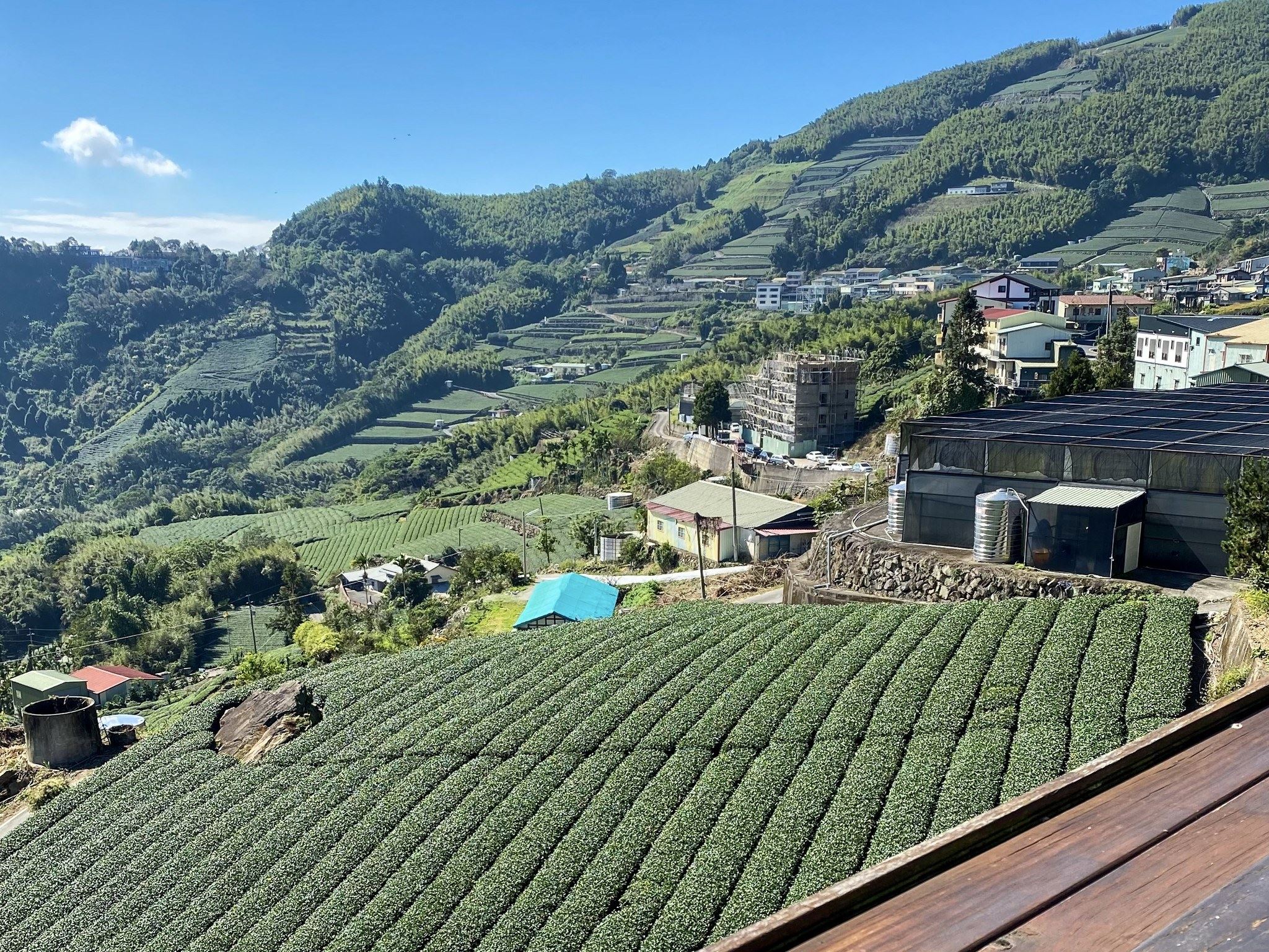 秋冬阿里山賞雲海！加入慢遊嘉義抽住宿、品檜木甜甜圈