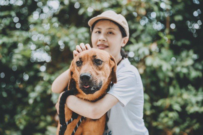 認養成犬好處多　新北大型犬辛巴的逆轉人生