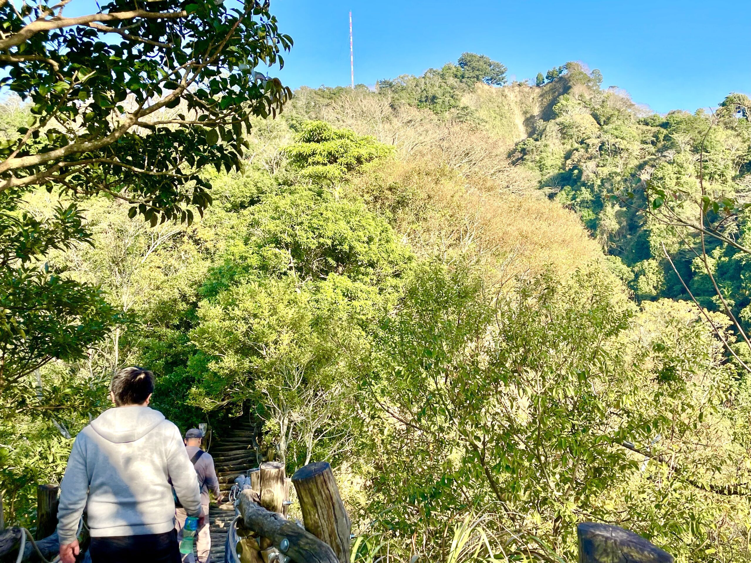 台中大坑登山步道春遊減脂好去處-　2號彩色森林步道美景開箱