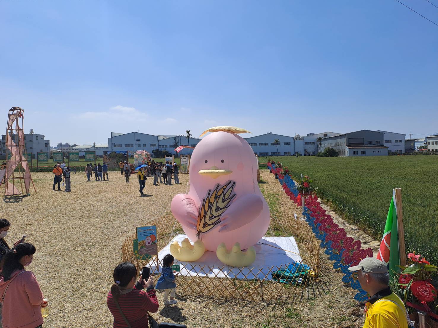 小麥產業文化節『浪麥隨蛇舞』登場-　中市農業局邀您來大雅體驗金色麥浪的威力