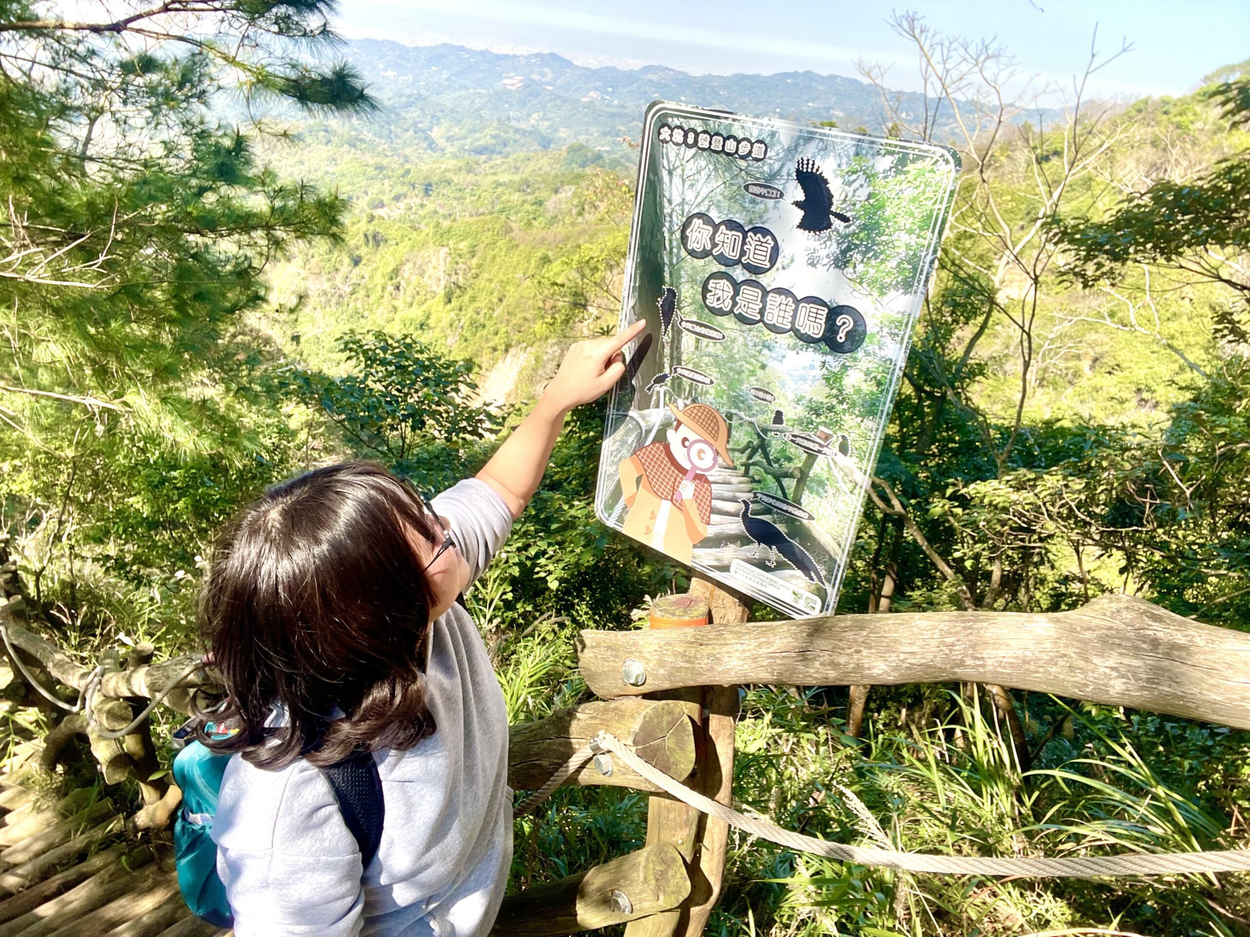 開箱台中大坑賞鳥秘境！　中市觀旅局邀民眾探索3號鳥語步道