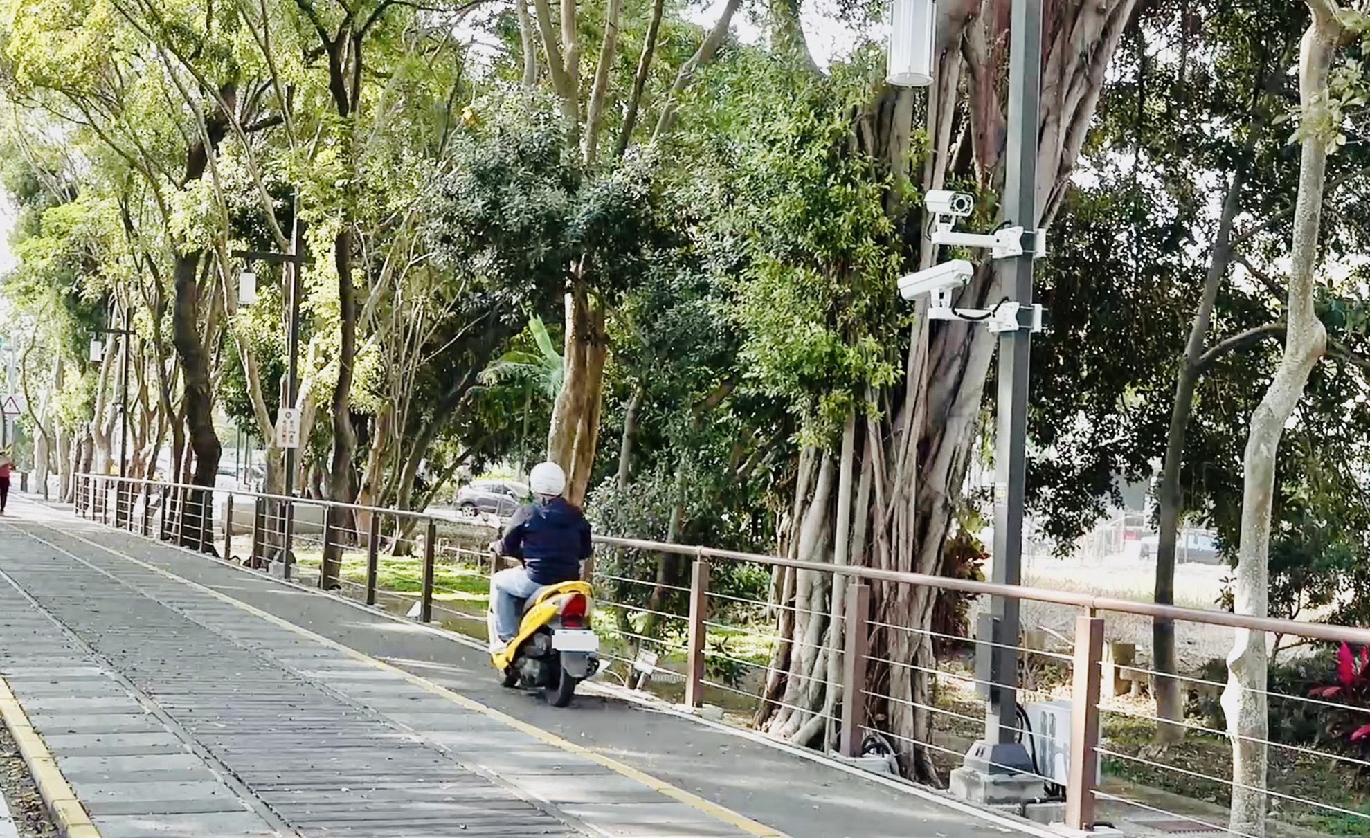 嘉油鐵馬道大聲公　3月1日上線　違規件數下降