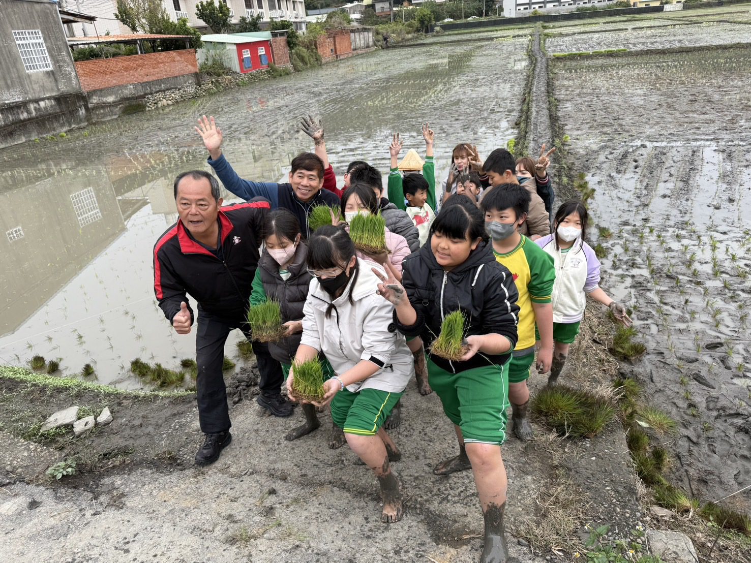 中市農業局邀學童體驗食農教育活動　繽紛稻田彩繪迎接中台灣農業博覽會