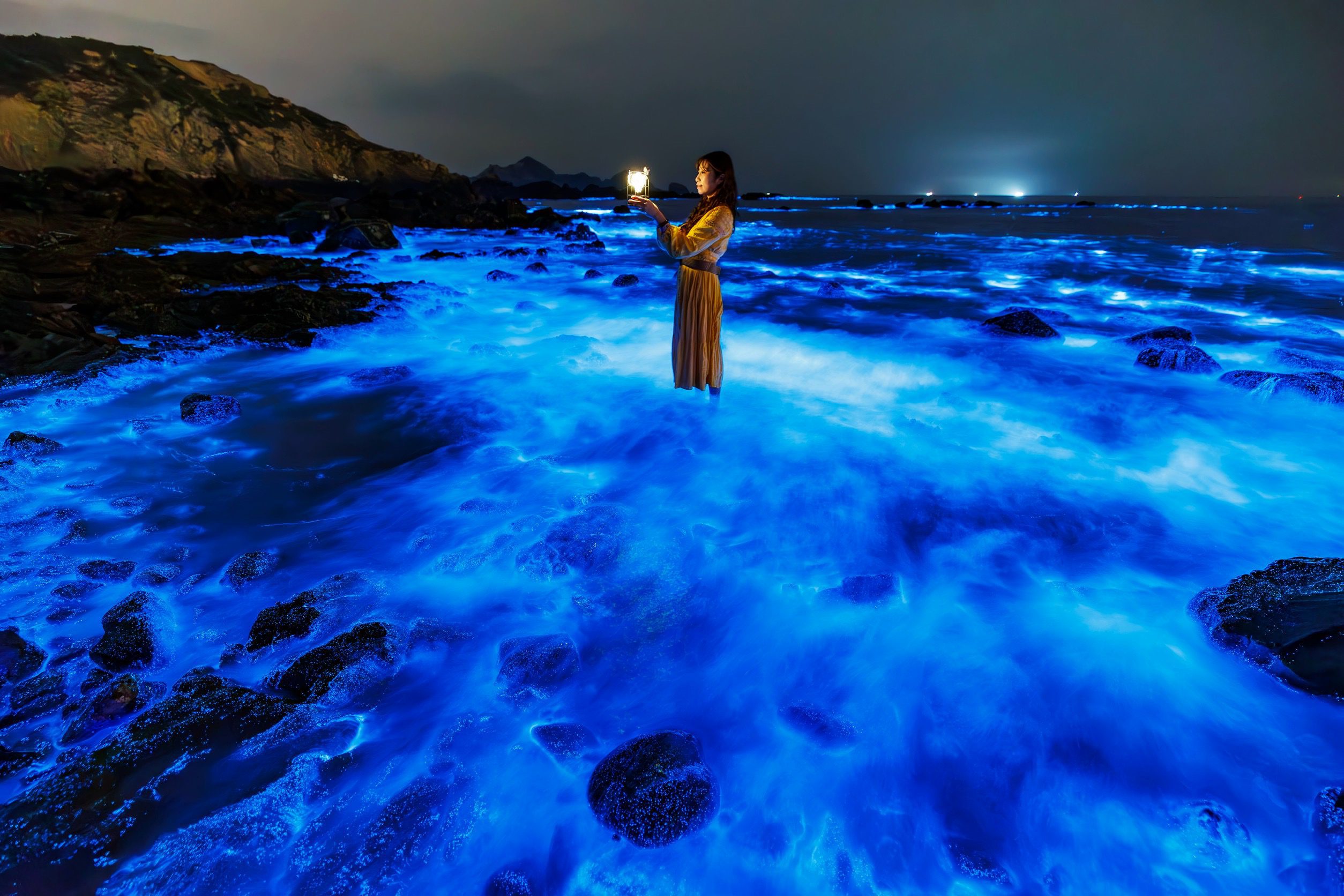 愛在馬祖-情定島嶼-北海遊憩區聯合婚禮x藍眼淚-浪漫上映