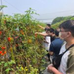 「2025 誠品綠色生活節×北流音樂趴」10組音樂人共組民謠派對 6/7-6/8連續兩日北流文化館登場