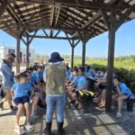 中市街頭夏日花季綻放！  阿勃勒與大花紫薇共譜浪漫詩篇