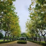 促進文化交流！　中市府邀新住民體驗香包、紙龍舟DIY慶端午
