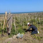 嘉基67歲生日快樂！1800人齊跑傳愛　路跑現場超有感動