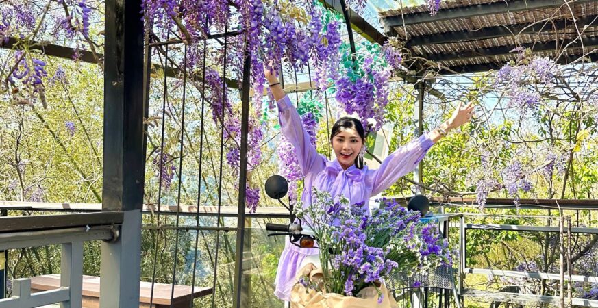 瑞里紫藤花季盛開　茶香料理與家鄉風味滿足味蕾
