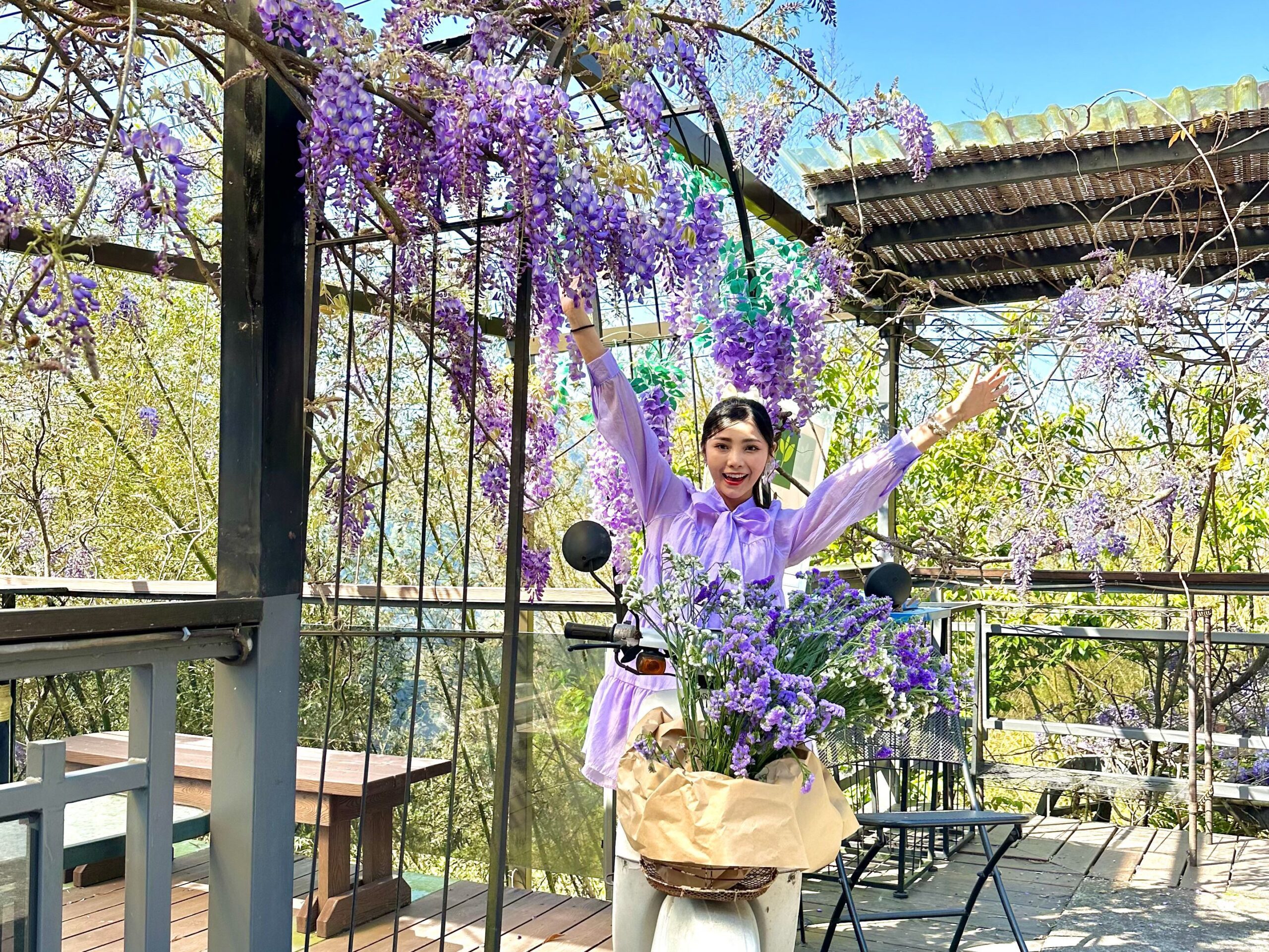 瑞里紫藤花季盛開　茶香料理與家鄉風味滿足味蕾