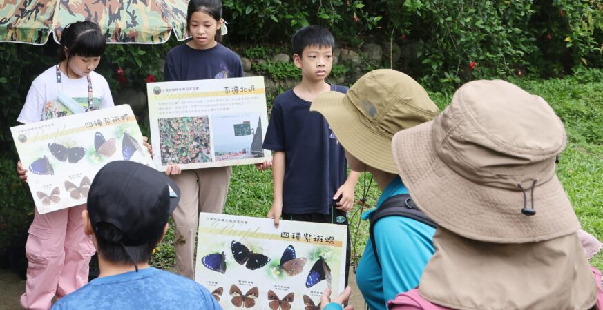 夏日山林化身賞蝶秘境！　大坑限定活動5/12開放報名