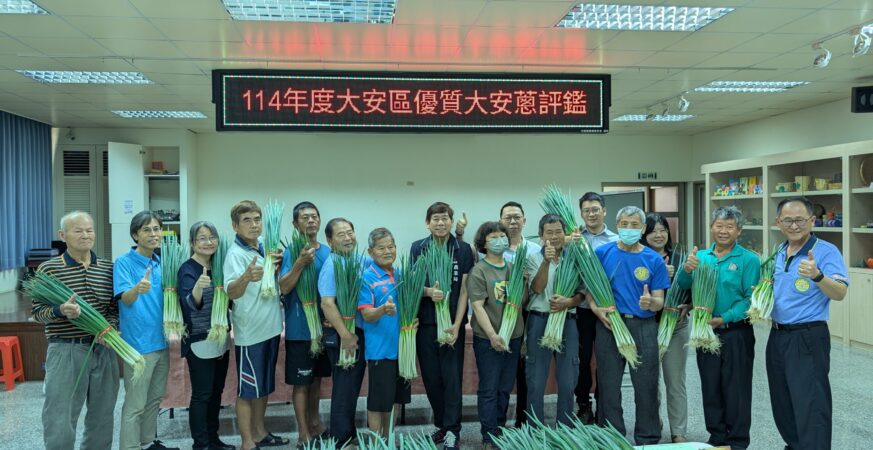 台中優質大安葱盛產期風味絕佳　農友黃加茵勇奪青葱冠軍