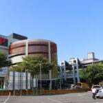 台中優質大安葱盛產期風味絕佳　農友黃加茵勇奪青葱冠軍