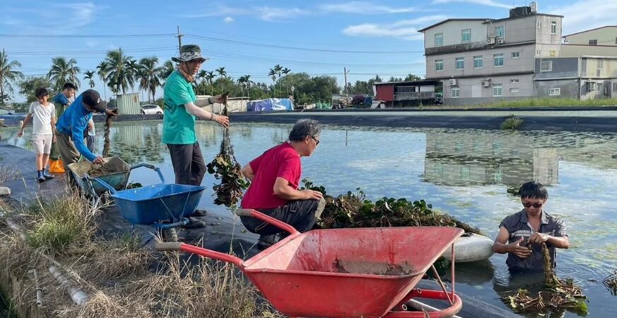 讓水雉與草鴞「安居樂業」守護農地　「生態給付」獎勵補助啟動-歡迎農民申請
