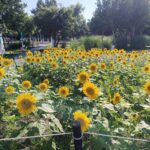 強化廉政意識與防弊作為　中市觀光旅遊局舉辦114年度廉政教育講習