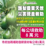 綠色消費抽大獎、拚環保！　歡慶台中東光市場40週年 YOYO姐姐6/14現身同樂