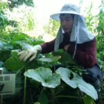 划出夏日戀曲！　中市聯誼活動助攻17對心動牽線 創八成九高配對率