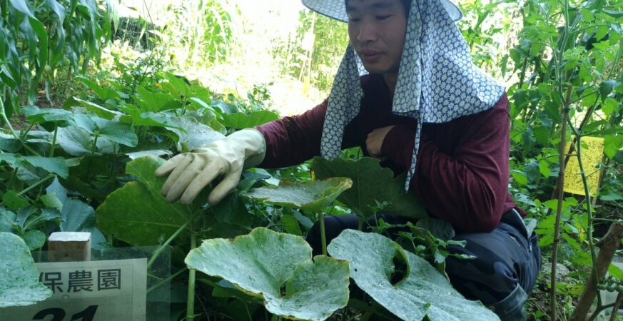 台中環保農園限時報名　30名市民免費享農趣5個月