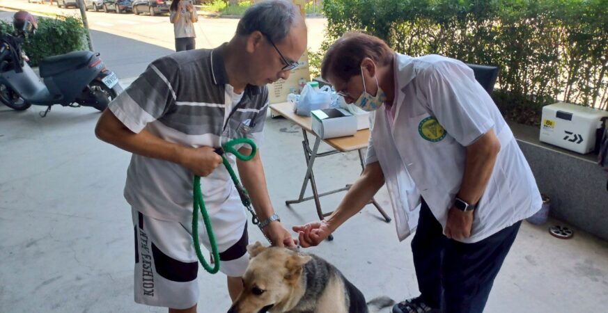 疫起動起來！　中市動保處：帶毛孩施打狂犬病疫苗