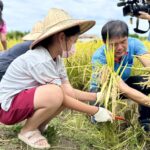 東勢區埤豐橋改建完工倒數！　建設局長驚喜預告：8月底提前通車