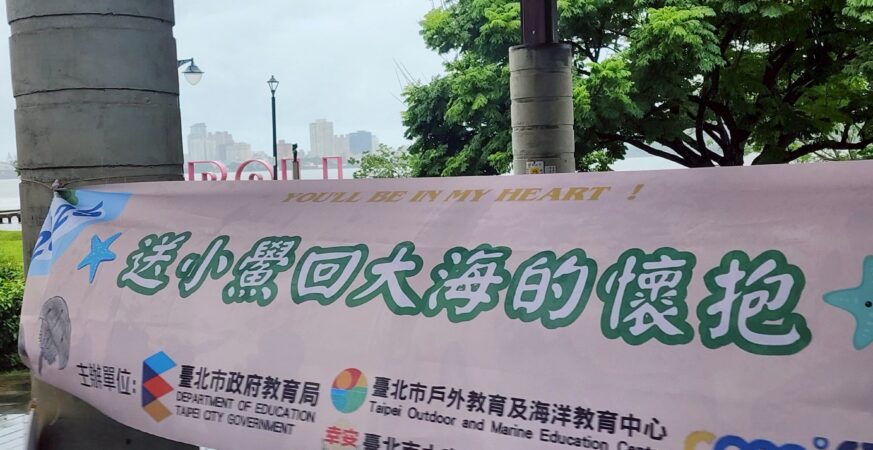 千隻鱟寶寶回家了！北市40校學子用行動守護海洋生態