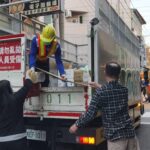 白頭翁築巢育雛　新北動保處解惑　白頭翁有長壽象徵　助人鳥和諧