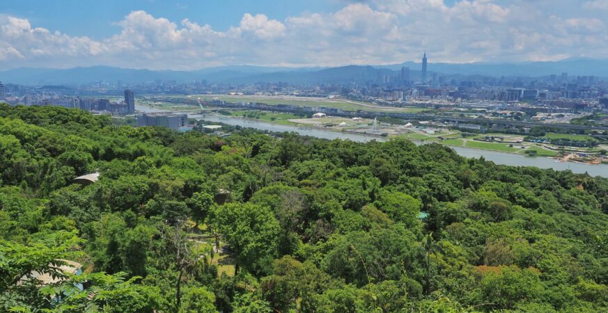 夏至樹影最長情！大地處邀您走入山林看見臺北綠亮點