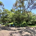 內湖國小展開文化交流之旅　34名學童走讀新加坡