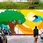 樹木健康我把關！　中市建設局全面防治褐根病守護市民安全