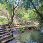 美感教育成果綻放　基隆市藝術深耕聯展亮相海科館
