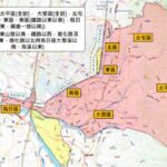 長青學苑7月限定活動　「與鯨鯊共游夢幻之旅」帶長者樂學迎夏