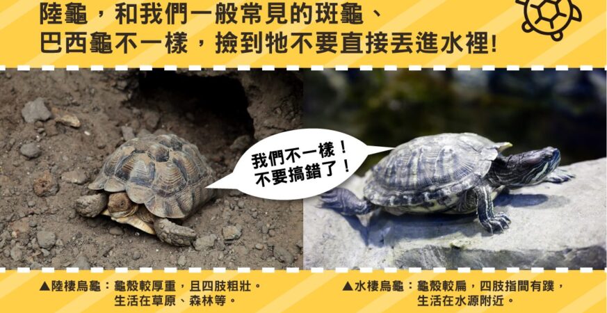 了解習性正確守護野生動物　中市農業局提醒「不干擾、不餵食、不捕捉」
