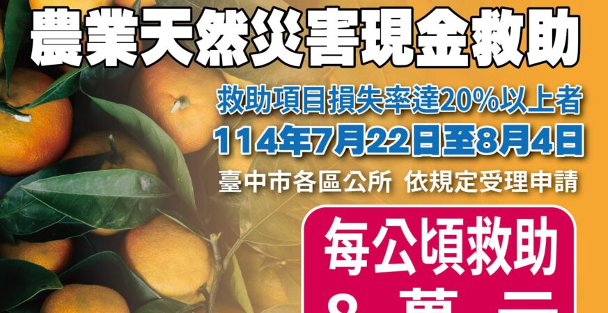 中市椪柑受天然災害影響　中市農業局提醒：8/4前可申請現金救助