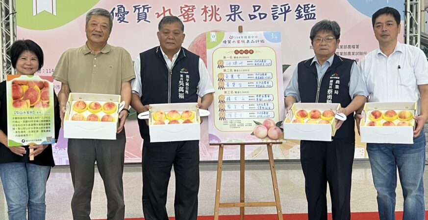 台中市優質水蜜桃評鑑結果出爐　農友汪煥洲榮獲水蜜桃達人