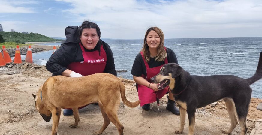 國際學生獻愛心　淡水動物之家浪浪迎來巴拉圭天使