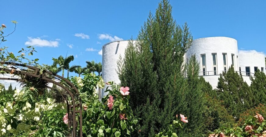 飛機越頂花香滿園　這個夏天新生公園超Chill