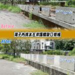 從1943都市藍圖出發　民眾體驗林蔭道、感受規劃的力量