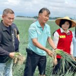 七七事變88週年　國民黨中常委孫健萍推「藍色台海倡議」籲全球華人促和平