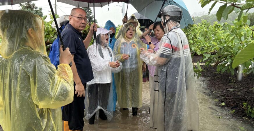 農損破2.6億未列全品項救助　張麗善轟中央救助不公